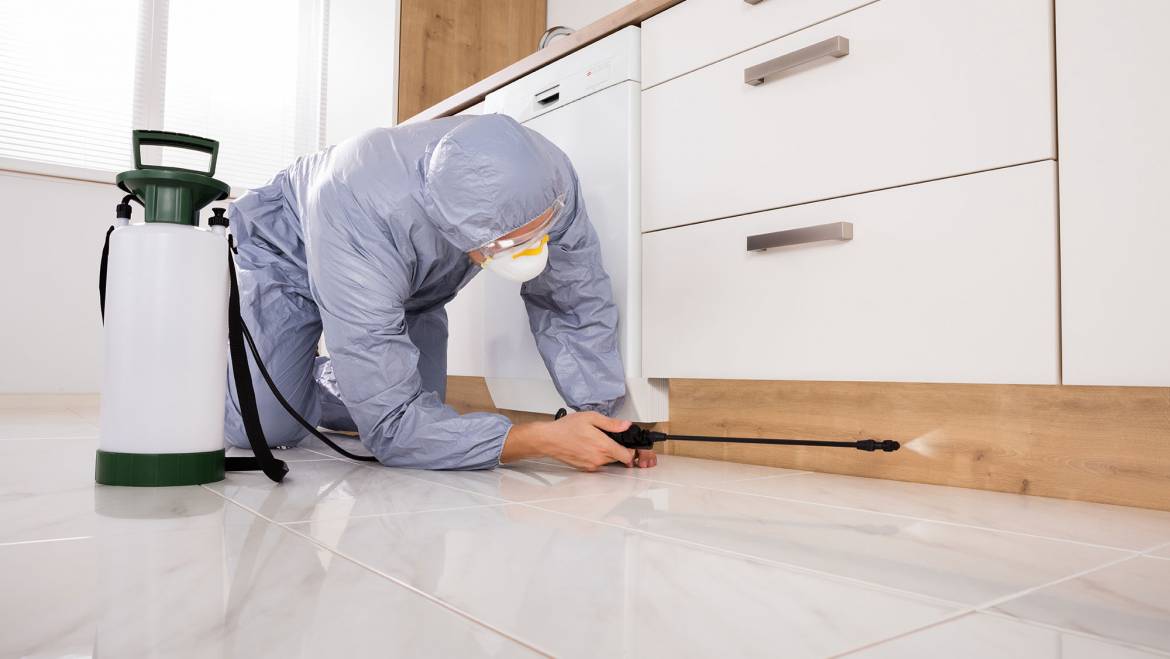 Tipps und Tricks gegen Mücken und Co.