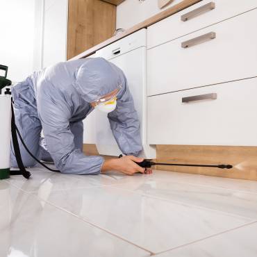 Tipps und Tricks gegen Mücken und Co.