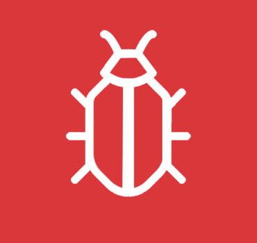 Bettwanzen