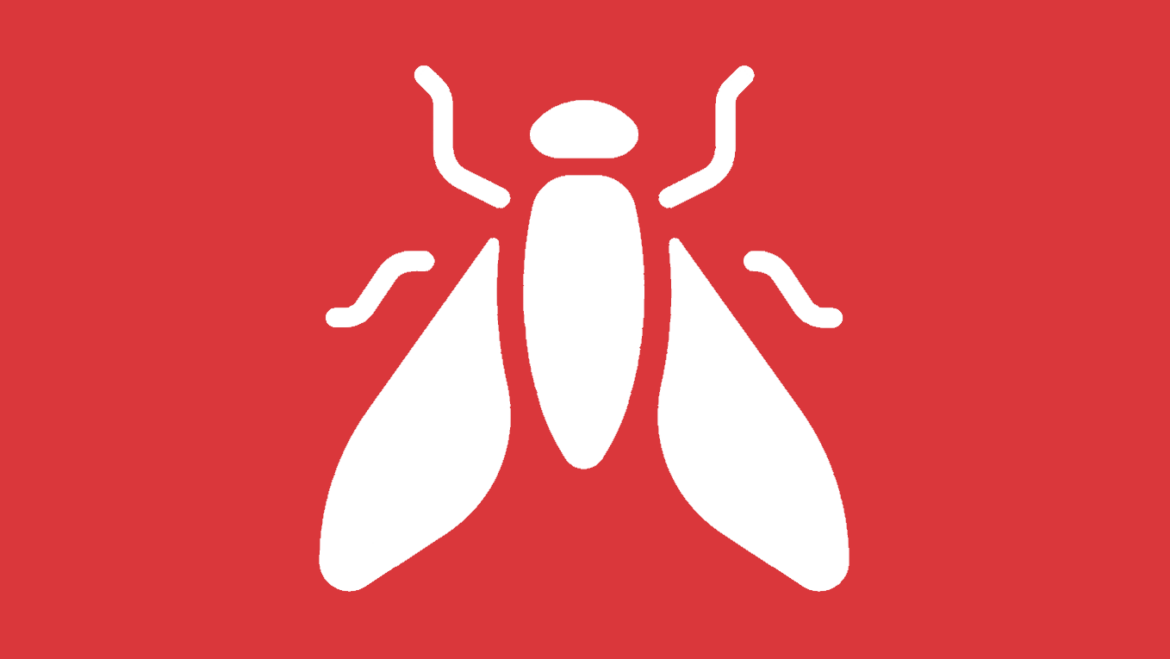 Halmfliegen