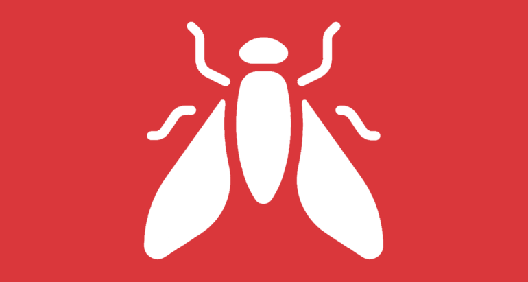 Halmfliegen